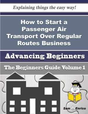 bigCover of the book How to Start a Passenger Air Transport Over Regular Routes Business (Beginners Guide) by 