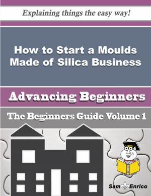 Cover of the book How to Start a Moulds Made of Silica Business (Beginners Guide) by Cicely Hutchens