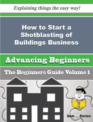 Cover of the book How to Start a Shotblasting of Buildings Business (Beginners Guide) by Carey Mead