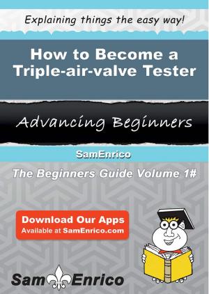 bigCover of the book How to Become a Triple-air-valve Tester by 