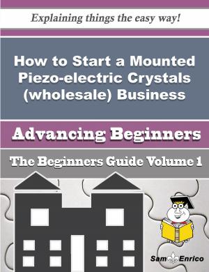 Cover of the book How to Start a Mounted Piezo-electric Crystals (wholesale) Business (Beginners Guide) by Denita Watters