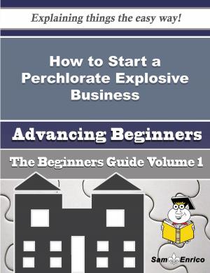 Cover of the book How to Start a Perchlorate Explosive Business (Beginners Guide) by richard obire