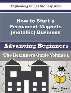 Cover of the book How to Start a Permanent Magnets (metallic) Business (Beginners Guide) by George E.L. Barbee