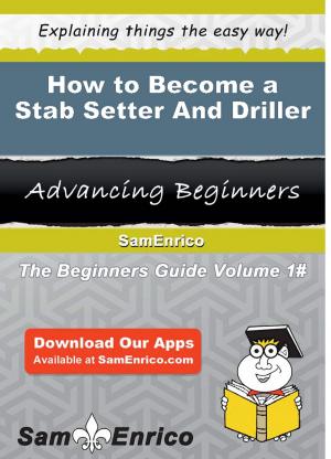 Cover of the book How to Become a Stab Setter And Driller by Sung Schroeder