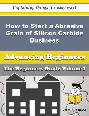 Cover of the book How to Start a Abrasive Grain of Silicon Carbide Business (Beginners Guide) by Miyoko Christianson