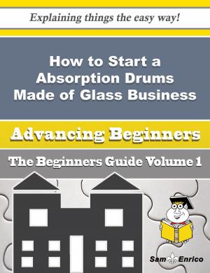 Book cover of How to Start a Absorption Drums Made of Glass Business (Beginners Guide)