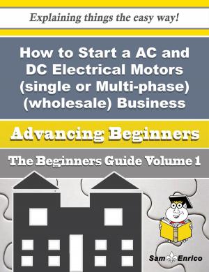 Cover of the book How to Start a AC and DC Electrical Motors (single or Multi-phase) (wholesale) Business (Beginners G by Gerardo Wolfe