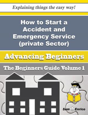 Cover of the book How to Start a Accident and Emergency Service (private Sector) Business (Beginners Guide) by Chana Pickett