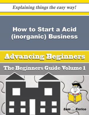 Cover of the book How to Start a Acid (inorganic) Business (Beginners Guide) by Soraya Andrus