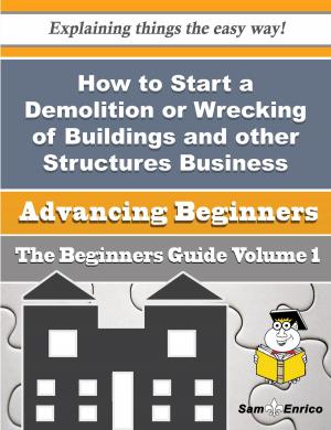Cover of the book How to Start a Demolition or Wrecking of Buildings and other Structures Business (Beginners Guide) by Shalonda Merrick