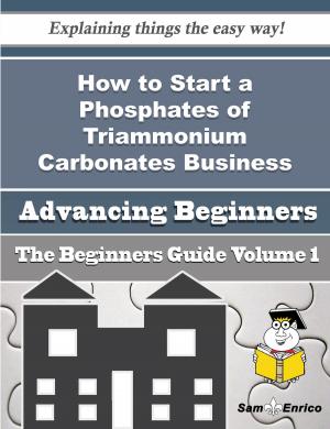 Cover of the book How to Start a Phosphates of Triammonium Carbonates Business (Beginners Guide) by Erich Sloan