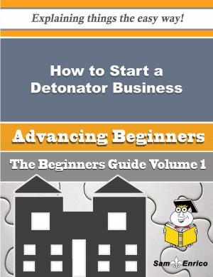 Cover of the book How to Start a Detonator Business (Beginners Guide) by Loyd Devlin