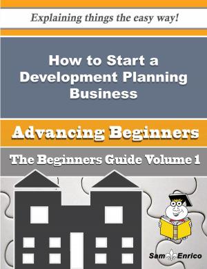 bigCover of the book How to Start a Development Planning Business (Beginners Guide) by 