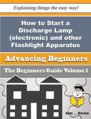 bigCover of the book How to Start a Discharge Lamp (electronic) and other Flashlight Apparatus Business (Beginners Guide) by 