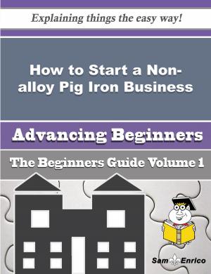Cover of the book How to Start a Non-alloy Pig Iron Business (Beginners Guide) by Mandie Keenan