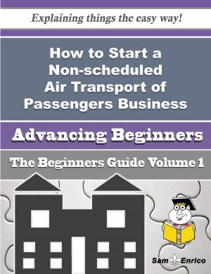 Cover of the book How to Start a Non-scheduled Air Transport of Passengers Business (Beginners Guide) by Darcy Winn