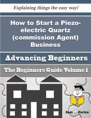 Cover of the book How to Start a Piezo-electric Quartz (commission Agent) Business (Beginners Guide) by Pat Sandoval