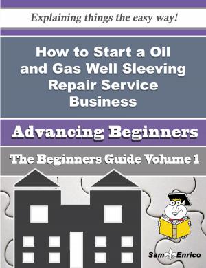Cover of the book How to Start a Oil and Gas Well Sleeving Repair Service Business (Beginners Guide) by Ayesha Masterson