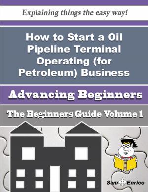 Cover of the book How to Start a Oil Pipeline Terminal Operating (for Petroleum) Business (Beginners Guide) by Li Laughlin