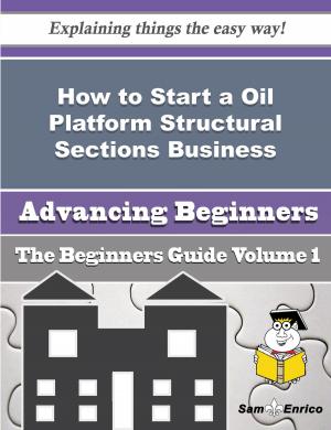 Cover of the book How to Start a Oil Platform Structural Sections Business (Beginners Guide) by edurne betoño, Jose María Cal Carvajal