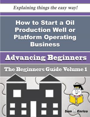 Cover of the book How to Start a Oil Production Well or Platform Operating Business (Beginners Guide) by Tamatha Womack