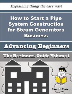 Cover of How to Start a Pipe System Construction for Steam Generators Business (Beginners Guide)