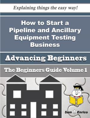 Cover of the book How to Start a Pipeline and Ancillary Equipment Testing Business (Beginners Guide) by Fae Diehl