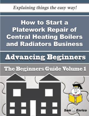 bigCover of the book How to Start a Platework Repair of Central Heating Boilers and Radiators Business (Beginners Guide) by 