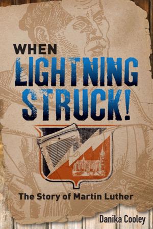 Cover of the book When Lightning Struck! by Jacob Holsinger Sherman