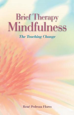 Cover of the book Brief Therapy Mindfulness by Luz Herrera
