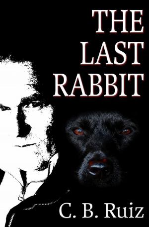 Book cover of The Last Rabbit