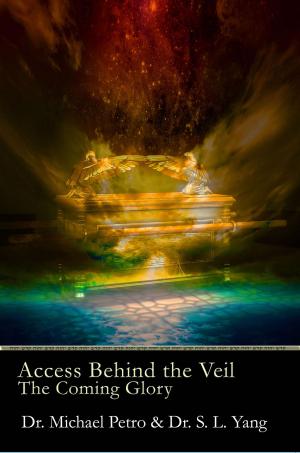 Cover of the book Access Behind the Veil by Maisha Washington