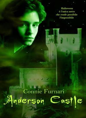 Cover of the book Anderson Castle by Rachelle Ayala