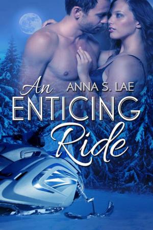 Cover of the book An Enticing Ride by Janet  Fogg, David  Jackson