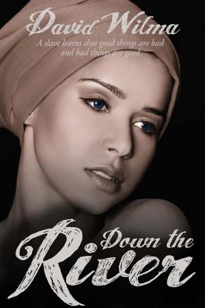 Cover of the book Down the River by Gabriella  Lucas