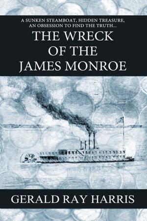 Cover of the book The Wreck of the James Monroe by Rachel Graves
