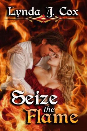 Cover of the book Seize the Flame by Allie  Harrison