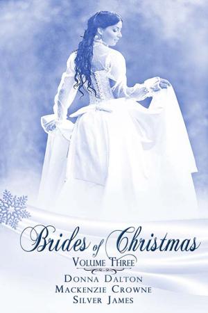 Book cover of Brides Of Christmas Volume Three