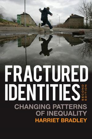 Cover of the book Fractured Identities by Jian-Ming Jin