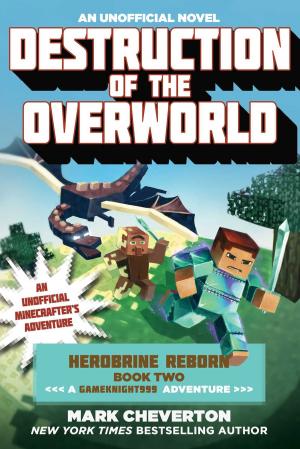 Cover of the book Destruction of the Overworld by JoAnne Stewart Wetzel