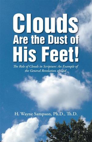 Cover of the book Clouds Are the Dust of His Feet! by Jo Anna Rieger