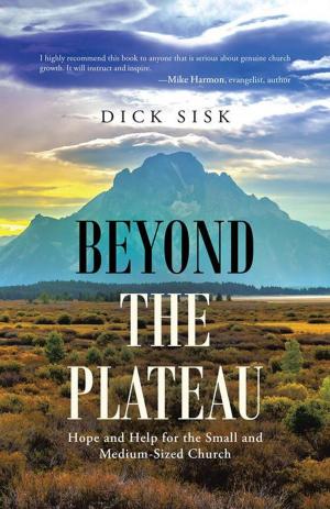 Cover of the book Beyond the Plateau by James Knauss