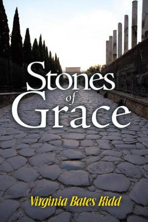 Cover of the book Stones of Grace by Joanne Carraway