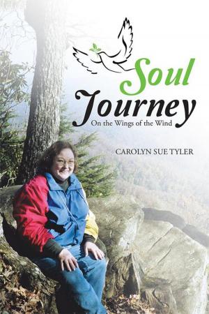 Cover of the book Soul Journey by Eldon Crowe