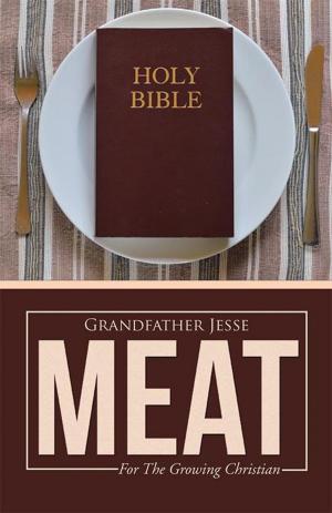 Cover of the book Meat by Edna M. Gallington, Elizabeth Bird Norton