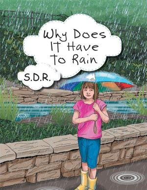 Cover of the book Why Does It Have to Rain by Charlotte Poteet