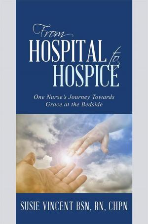 Cover of the book From Hospital to Hospice by Pero Kovaceski