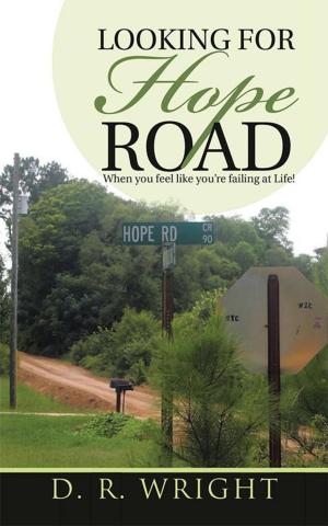 Cover of the book Looking for Hope Road by Dave Taylor, Pete Dellerba