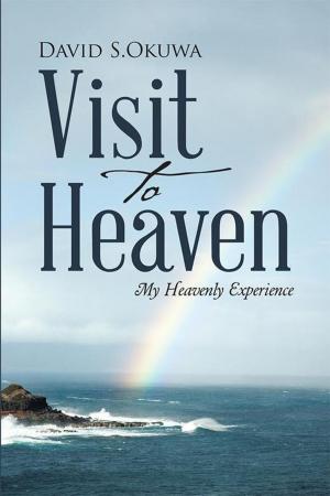 Cover of the book Visit to Heaven by Robert Wilson