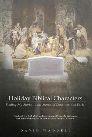 Cover of the book Holiday Biblical Characters by Steve Caulley